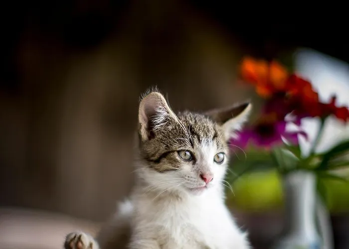 Apartament Urlaub Am Lacknerhof - Familie Klocker *