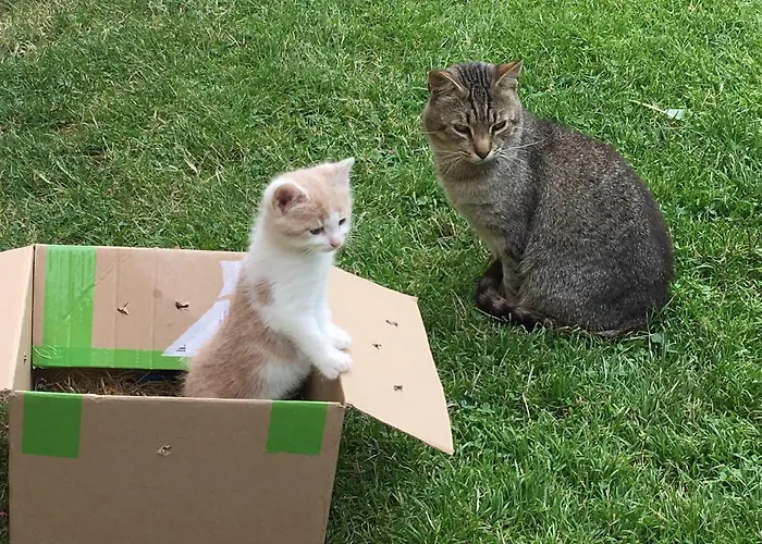 Apartament Urlaub Am Lacknerhof - Familie Klocker *